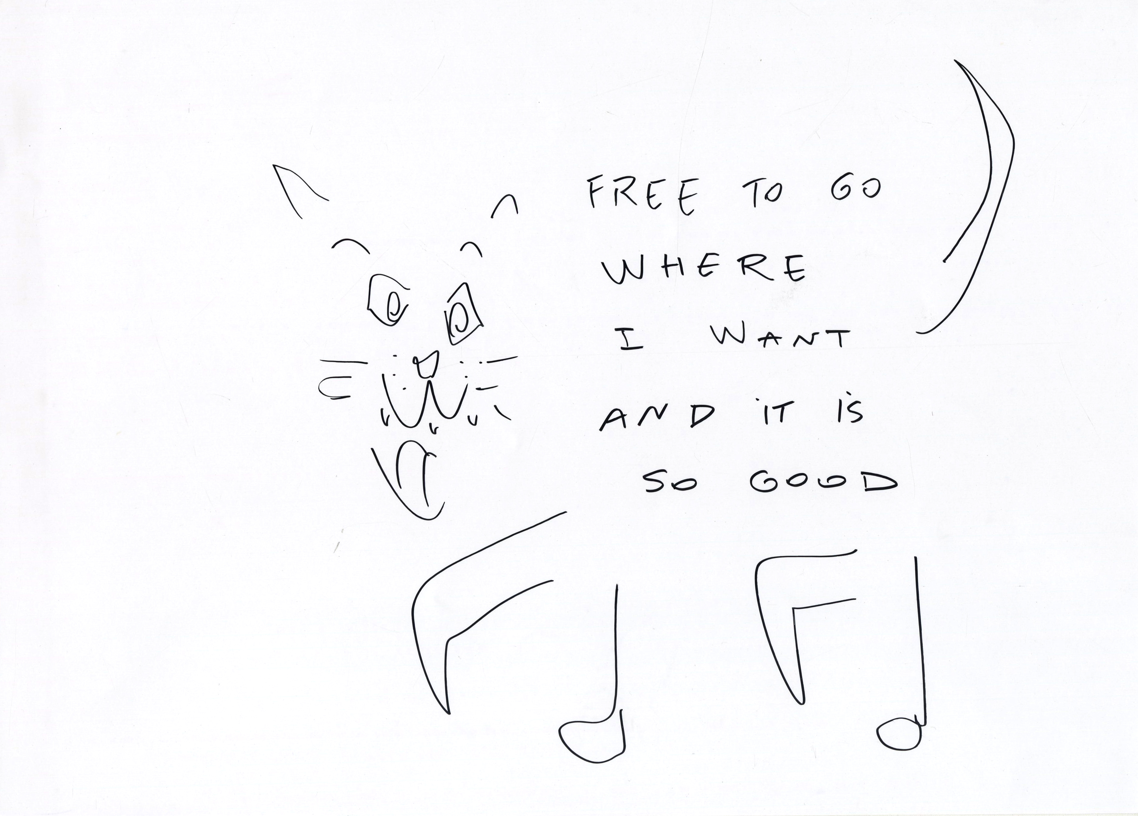 free to go where I want and it is so good